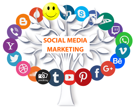 SMM: Social Media Marketing Company in Noida, India